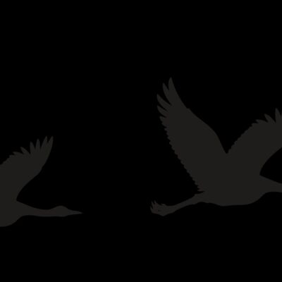 Ducks Flying Row Thumbnail