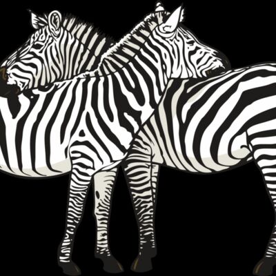 Pair Zebras Thumbnail