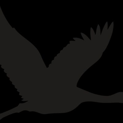 Flying Crane Thumbnail