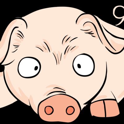 Pig lying down Thumbnail