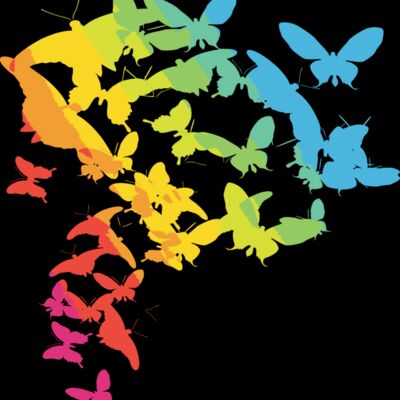 Colourful butterflies Thumbnail