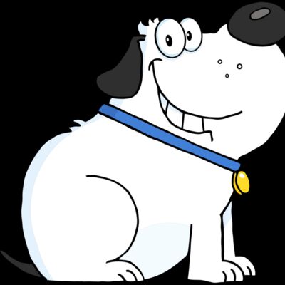 Happy chubby white dog Thumbnail