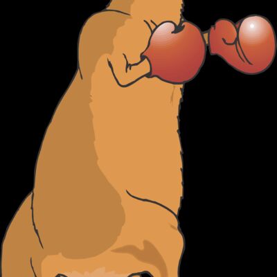 Boxing Kangaroo Thumbnail