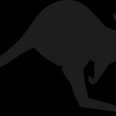Kangaroo Thumbnail