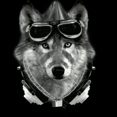 new wolf with white back Thumbnail