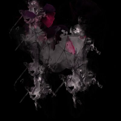 Dream Catcher Thumbnail