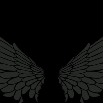 Black wings Thumbnail