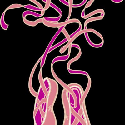 Ballet slippers Thumbnail