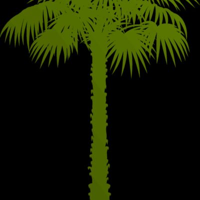 Palm tree 1 Thumbnail