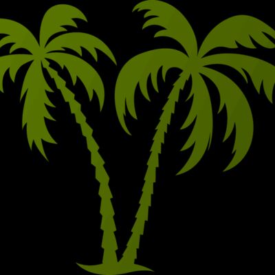 Palm tree 2 Thumbnail
