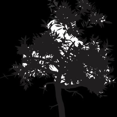 Leafy Black Tree Thumbnail