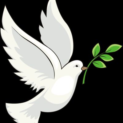 Peace white dove Thumbnail