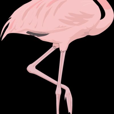 Pink flamingo Thumbnail
